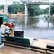 Wamba River- Congo