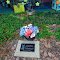 Dewey the Cat Memorial, Spencer Library