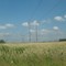 Lines in the field