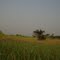 Les collines coniques près de la Lola