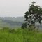 RDC, Nord-Equateur, Paysage Mpaka Lola