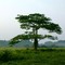 Landscape arounde Kisangani