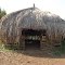 Grass hut