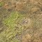 Aerial View of Poached Elephant, Gangala na Bodio Hunting Reserve