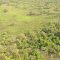 Aerial View of the Vegetation, Gangala na Bodio Hunting Reserve