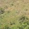 Aerial View, Orientale Province