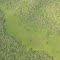 Aerial View of Wetland, Gangala na Bodio Hunting Reserve
