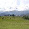 Ramogi militia camp, 2004