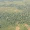 Aerial View of Farms, Orientale Province
