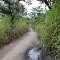 Route Lulimba - Kilembwe, Secteur de Babuyu, Territoire de Kabambare, Maniema, Republique Democratique du Congo