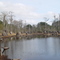cypress butts, Caryville, Florida (12-30-2006)