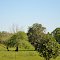 Rural Holmes County