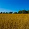 Bonifay, FL