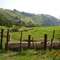 lubero farms ,north kivu, congo
