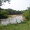 queen elizabeth national parc camping