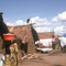 Vitshumbi, Zaire 1988