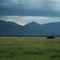 Virunga National park,North Kivu,Congo