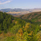 Autumn colors are showing. Photo Aug. 26, 2007, SE Idaho. Down Robbers Roost Canyon