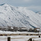 Winter pasture (March) near Inkom, Idaho
