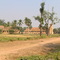 Tshibala