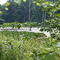 Indiana, June 2007