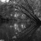 Tippecanoe Under the Iron Bridge