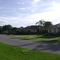 Wellington houses