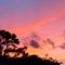 Florida Sunset
