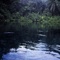 Lac Fwa