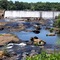 Dam at High Falls