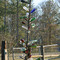 Bottle Tree, Monticello, GA