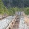 tracks near Junction City mine