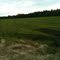 Osceola Plantation div. Park Farms