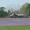 in the country
