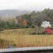  pasture with a great view,  Clayton, Georgia .. USA