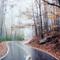 winding road to Black Rock Mountain, Mountain City, Georgia (1995)