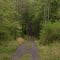 Ellijay