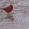 " yeah, I know..I can fly AND walk on water"