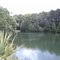 Pond at Bamboo Farms and Coastal Gardens