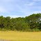Bryan County, Georgia
