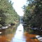 Old Rice Plantation Irrigation Channel
