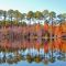 Autumn in Georgia