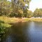okefenokee swamp.