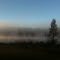 Mist rolls over the lake