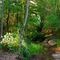 "Tis a quiet sweet spot embowered in green, O'er looking a streamlet of silvery sheen, Whose waterfalls murmur in musical flow, Dashing spray on the ripples as onward they go..."
