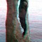 Huge Hollow Trunk - 3D (This thing has a hole large enough for a average adult to step through)