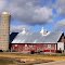 Country Farm