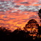 Georgia Sky