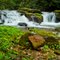 Wildcat Creek Falls
