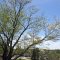 Dallas City Cemetery